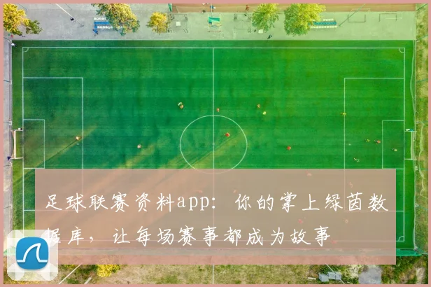 足球联赛资料app：你的掌上绿茵数据库，让每场赛事都成为故事