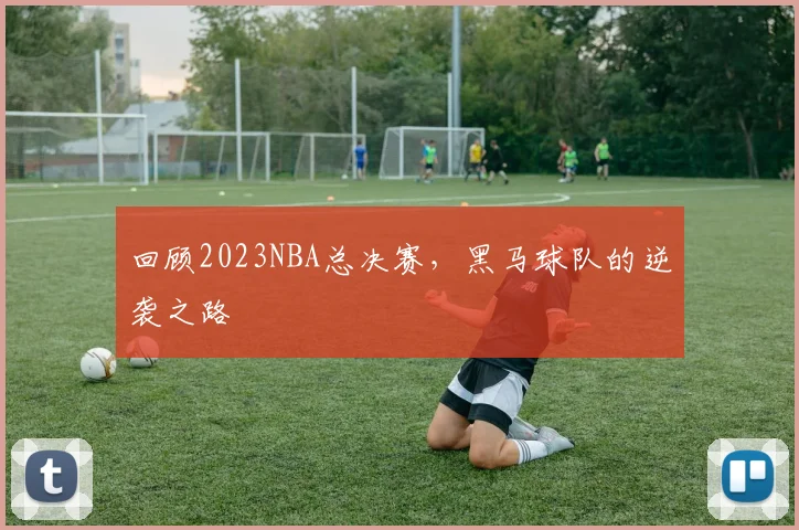 回顾2023NBA总决赛，黑马球队的逆袭之路