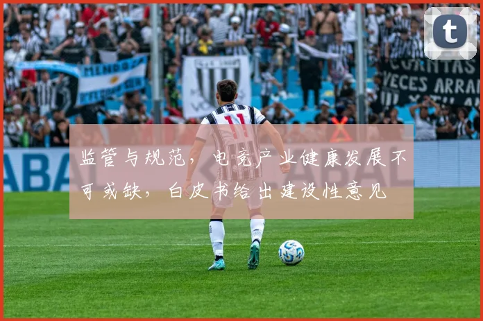 监管与规范，电竞产业健康发展不可或缺，白皮书给出建设性意见